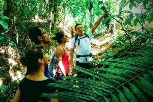 Guía con grupo en senda Selva de Tijuca - Río de Janeiro