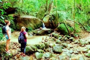 Trilha Parque Nacional da Tijuca