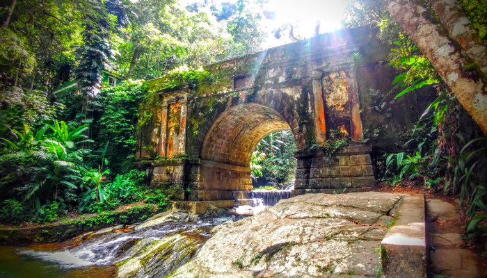 Old bridge in lush forest setting