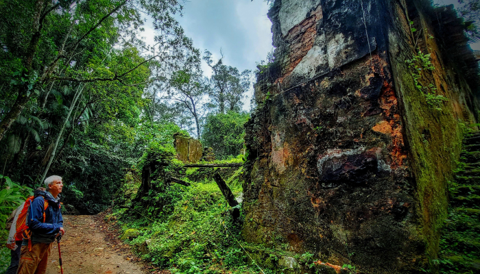Man exploring ruins in lush forest
