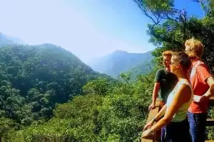Trilha Fácil Floresta da Tijuca - Mirante da Cascatinha