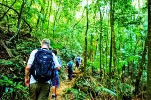 Trilha fácil na Floresta da Tijuca