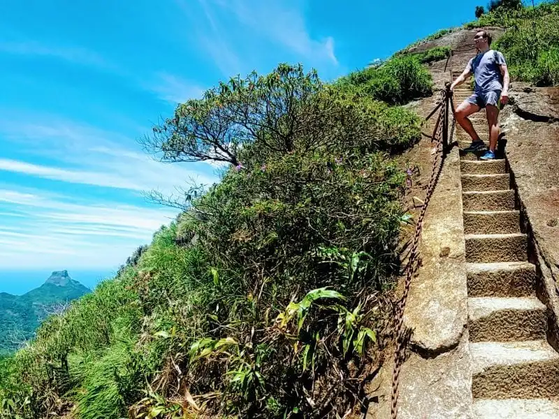 Hiking Tijuca Forest Rio de Janeiro