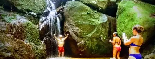Tijuca Forest