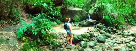 Hike at Tijuca Forest