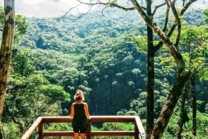 Sendero Fácil en Selva de Tijuca - Mirador de Cascatinha