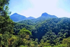 Vista do Mirante Cascatinha em trilha fácil no Parque Nacional da Tijuca