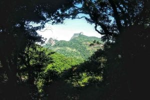 Pedra da Gavea desde el sendero fácil en Selva de Tijuca