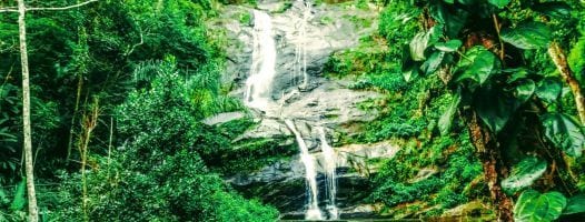 Waterfall Hike at Tijuca at National Park