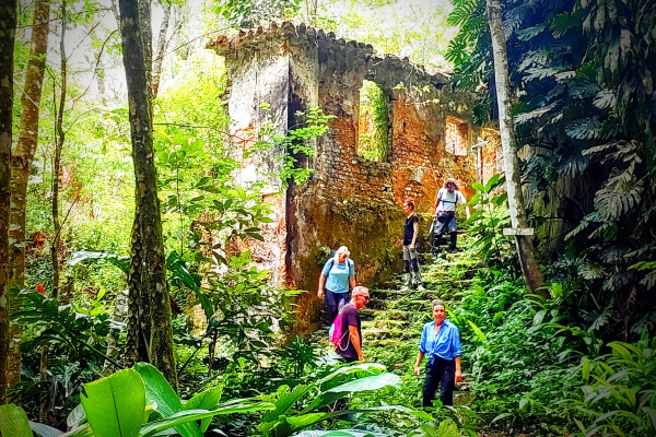 Group of hikers in a tour at Tijuca Forest