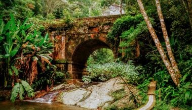 senderismo y caminatas selva río de janeiro
