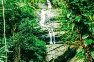 Caminhando Cachoeira na Floresta da Tijuca