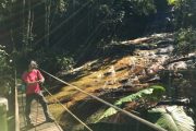 Tijuca Forest suspension bridge