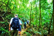 Group hiking to Pedra Bonita at Tijuca Forest