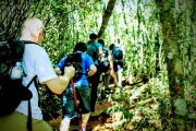 HIkers going to Pedra Bonita Summit